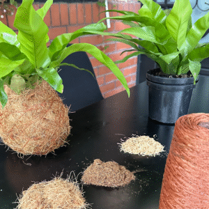 Experiencia crea tú Kokedama